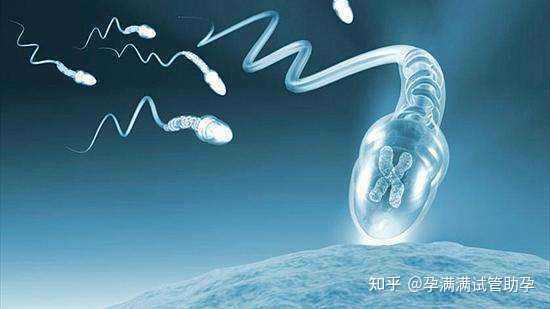 2023温州供卵试管骗局,2023温州妇产医院取卵手术前预付的押金怎么退？